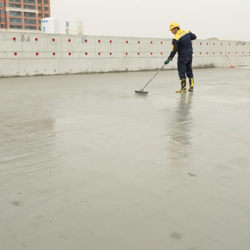 Home Roof Coating System