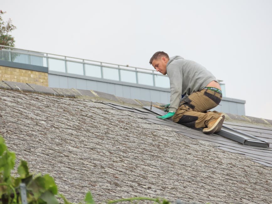 roof repair consultation appointment